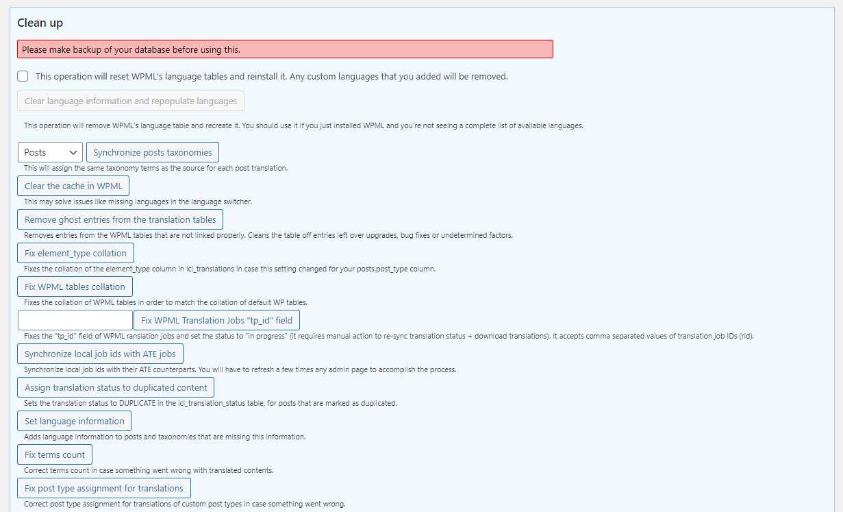 The WPML troubleshooting options page