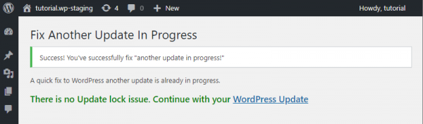 How To Fix The Error "Another Update In Progress" In WordPress • WP STAGING