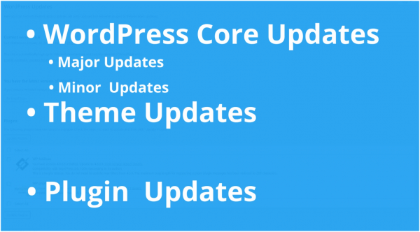 WordPress Updates: Core Updates, Theme Updates, Plugin Updates