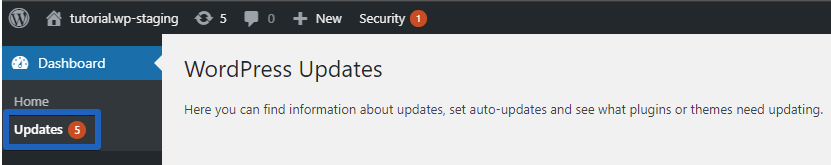 WordPress Updates