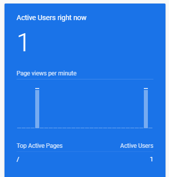 One Active Google Analytic Users