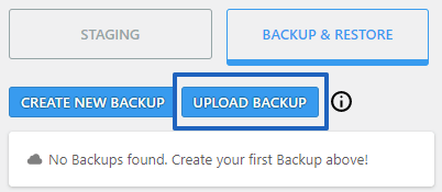 Upload Backup Button