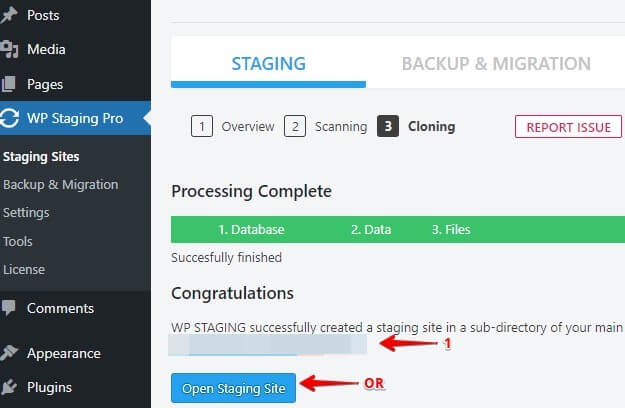 Backup and download the staging site before converting the multisite into a network site
