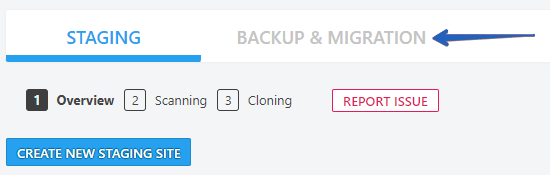 Backup & Migration Button