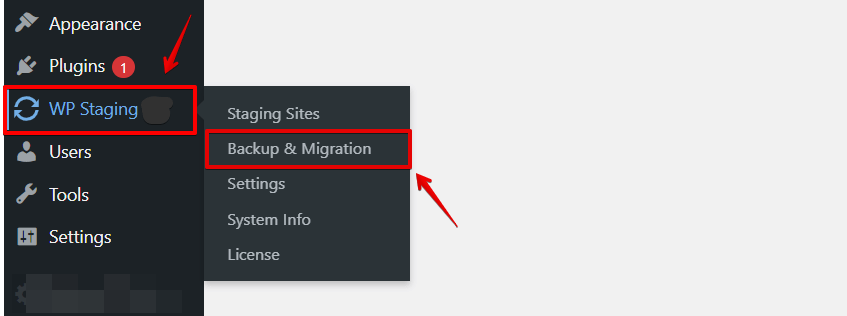 WP-Staging plugin options