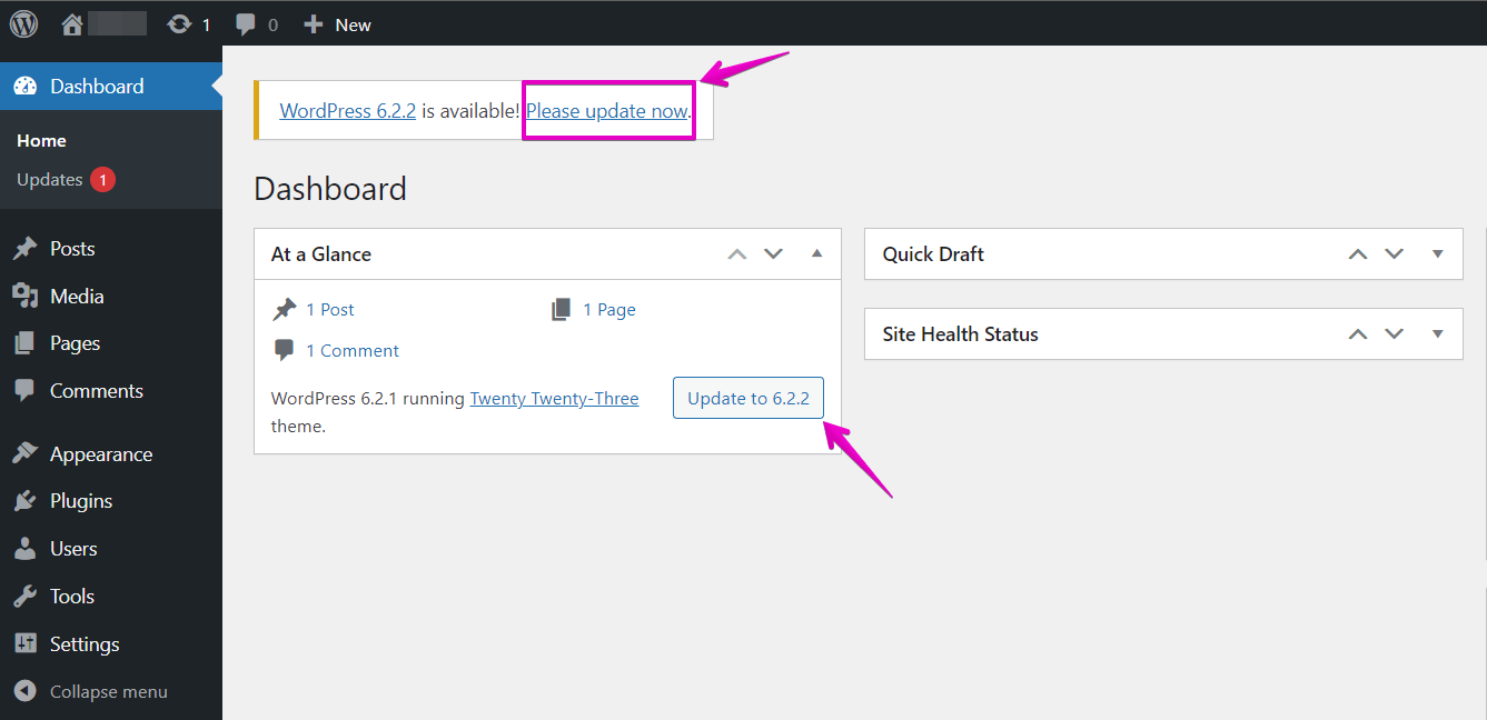 Wordpress update options