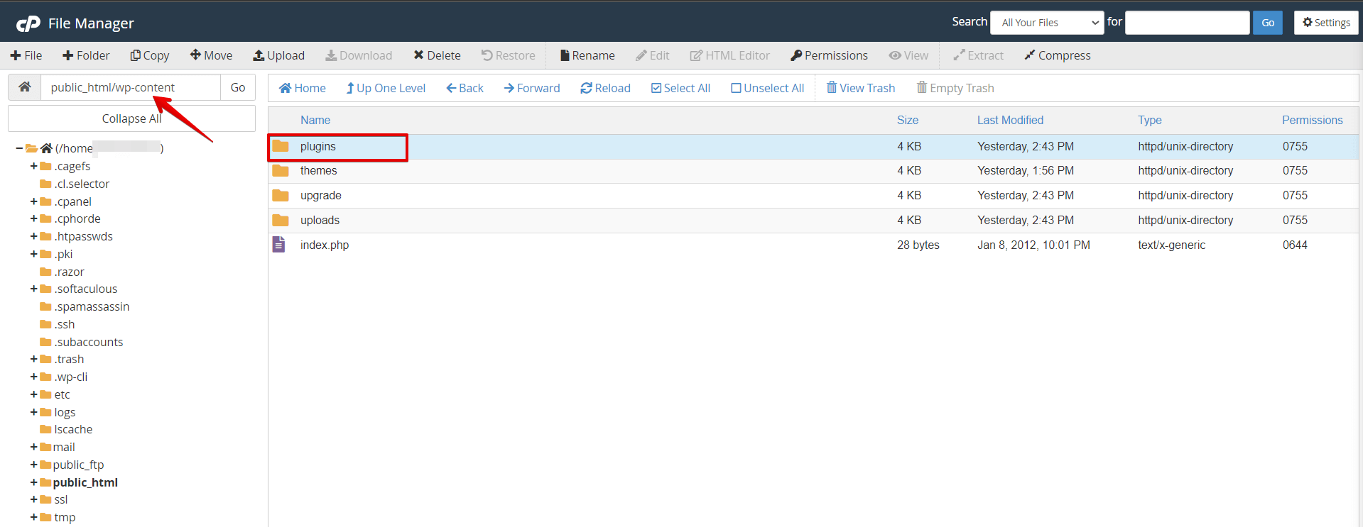 How To Restore a WordPress Crash After Plugin Update?