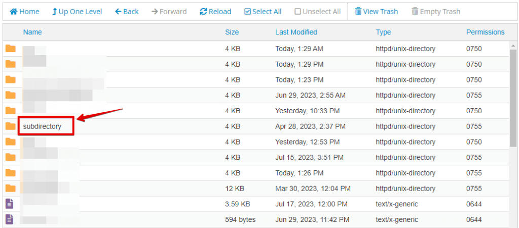 Cpanel Subdirectory