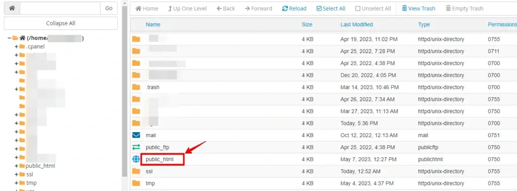 Cpanel filemanger public_html