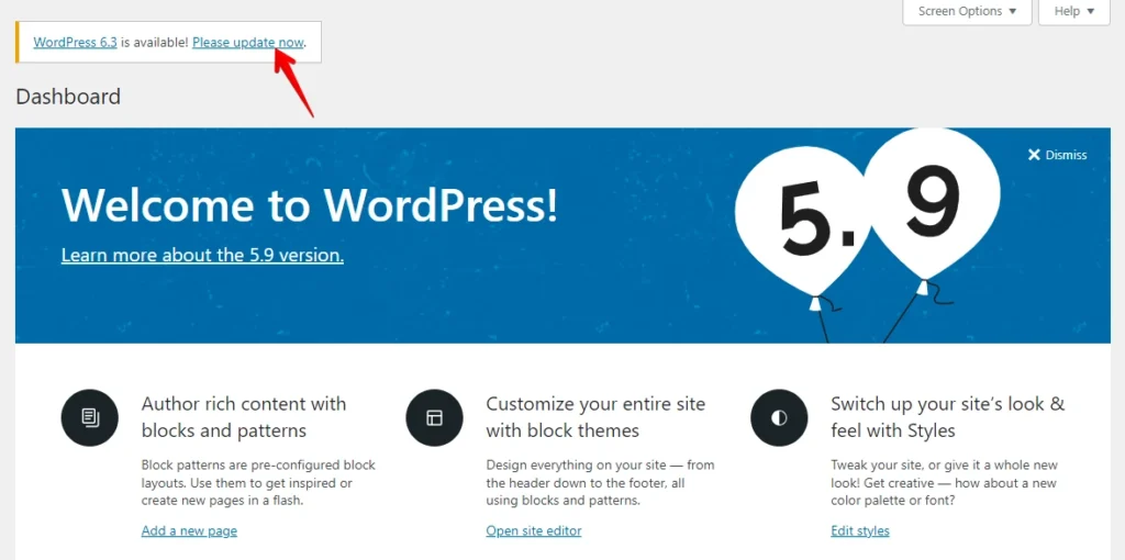 Update WordPress