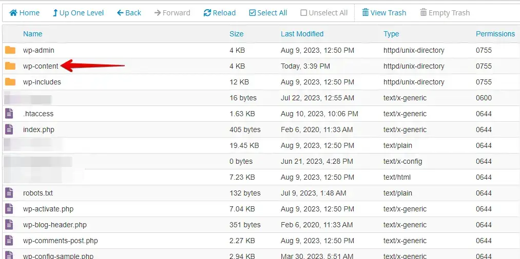 WordPress wp-content