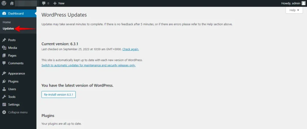 Keep WordPress and Plugins Updated