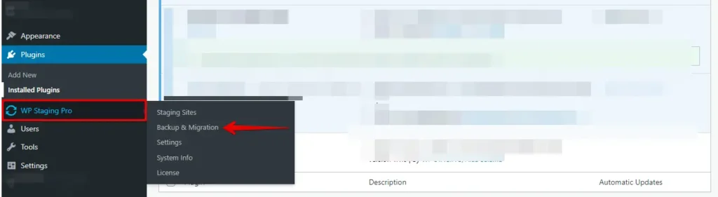 Wp Staging Backup & Migration Option