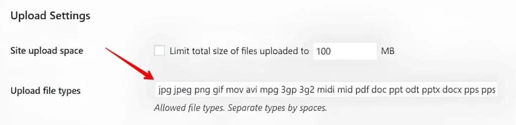 Upload file type