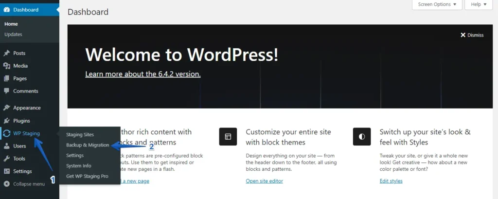 Wp Staging Backup & Migration option