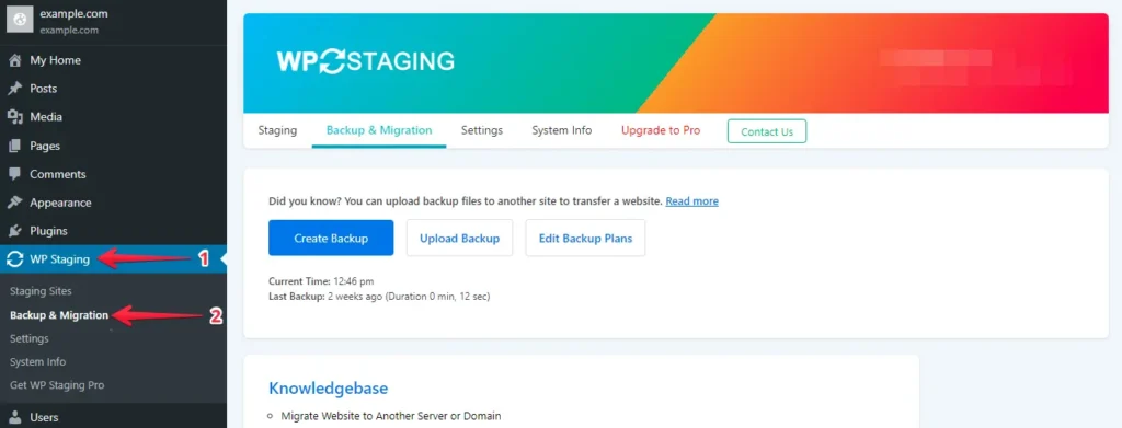 Backup and Migration Option in Wp Staging