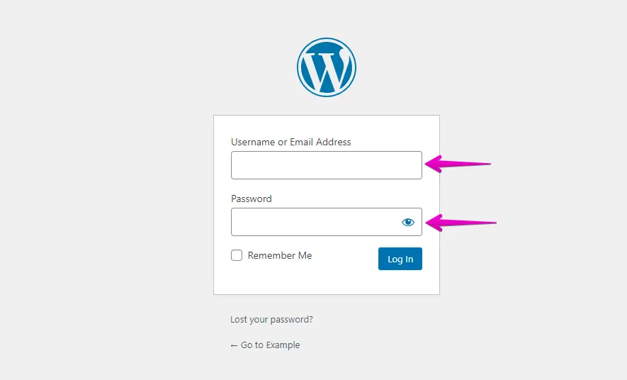 IONOS Webiste WordPress Login Page