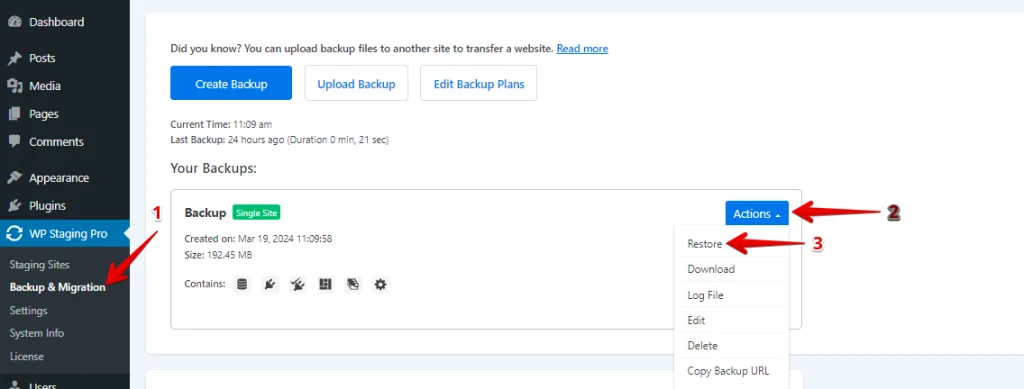Restore Backup Using WP Staging