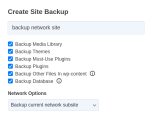 backup network site
