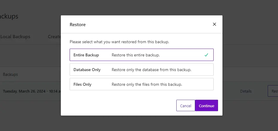 Select BackupBuddy Restore Option