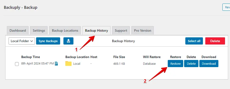 Backuply Restore Backup