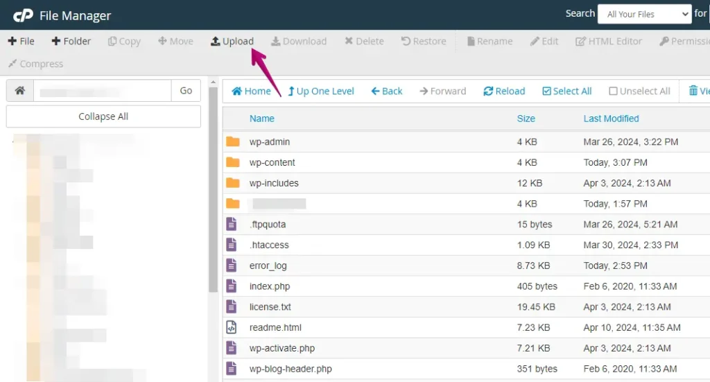 Upload File Button in cPanel