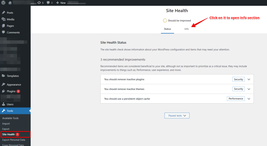 WordPress Site Health Info 