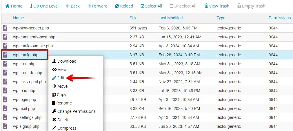 Edit Your WordPress wp-config File