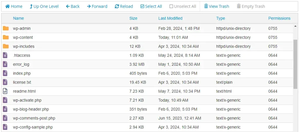 WordPress Core Files