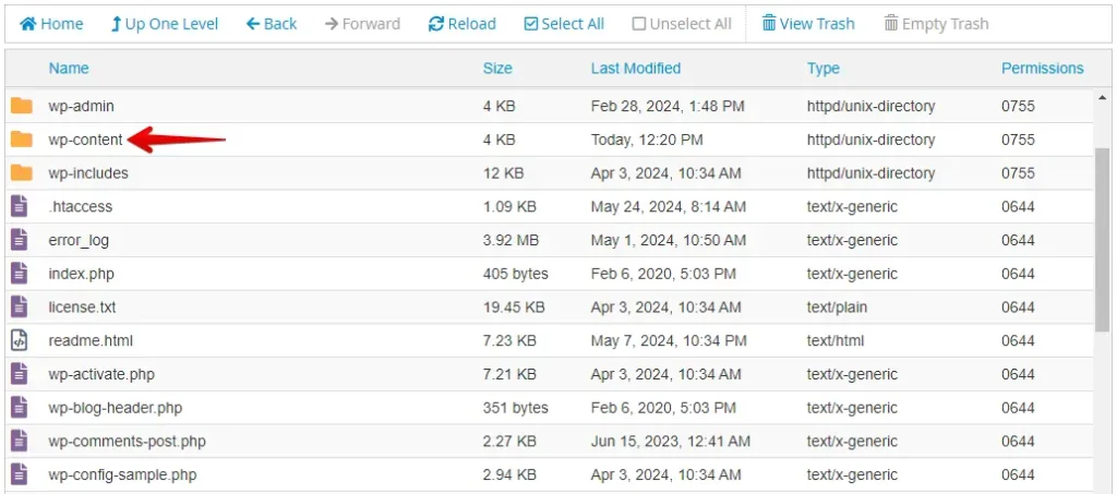 WordPress wp-content Folder