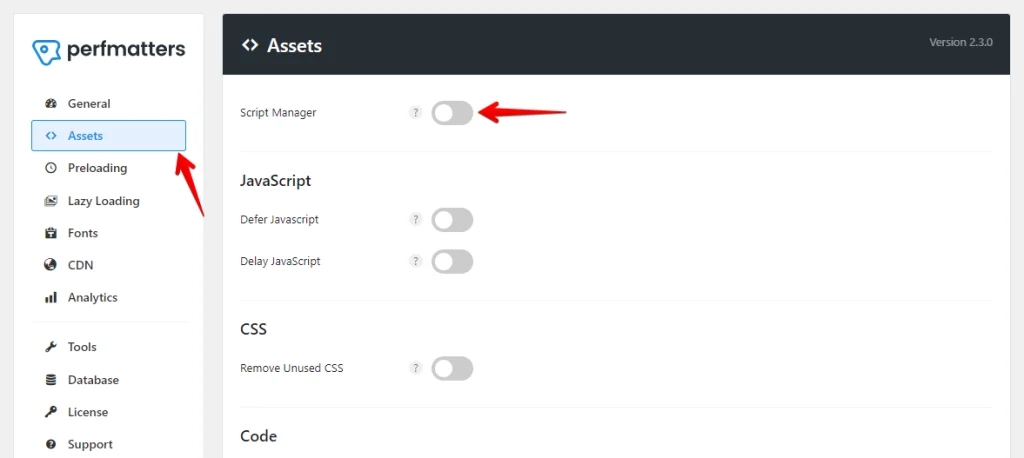 Perfmatters Script Manager Option