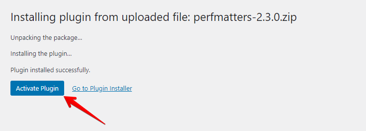 Activate Perfmatters Plugin