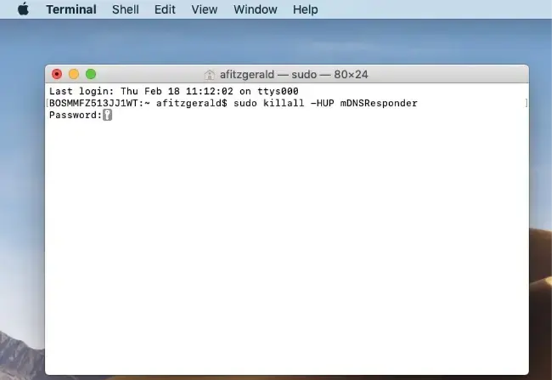 Flush Your DNS Using Mac