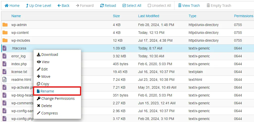 Rename .htaccess File to troubleshoot 501 error