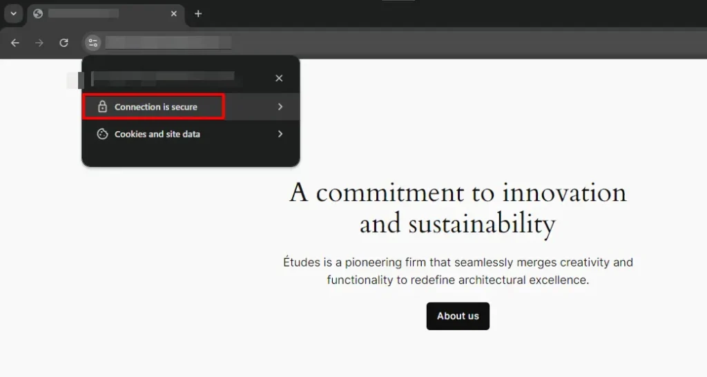 Connection is secure Option in Google Chrome