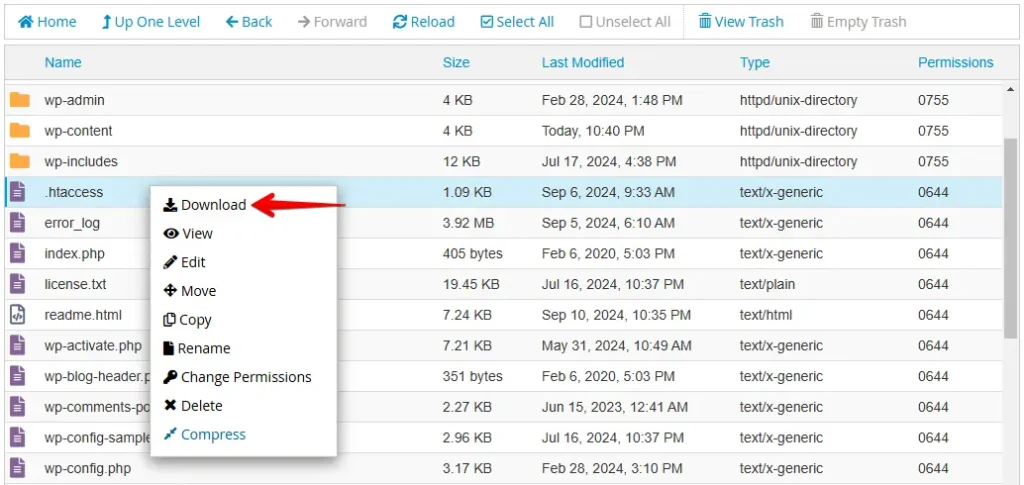 Download the .htaccess file to create a backup