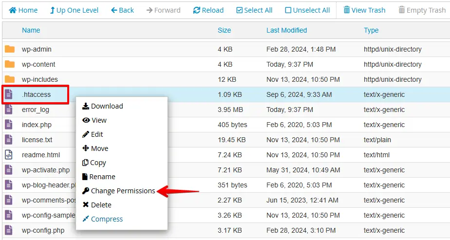 Right-click the .htaccess file and select Change Permissions.