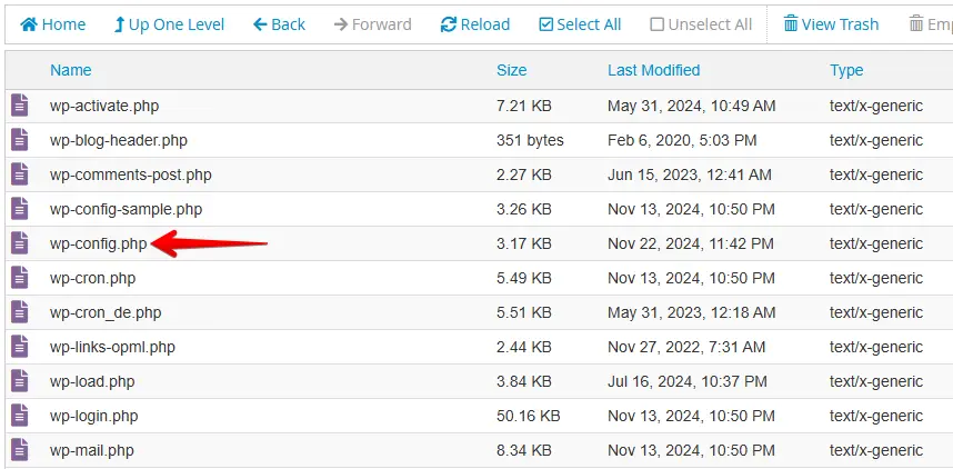 view wp-config file