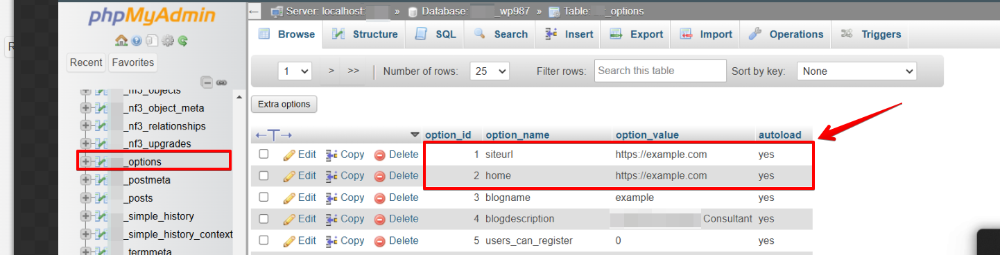 Update URLs in wp-options table